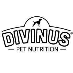 Divinus