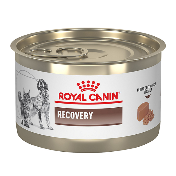 Royal Canin Recovery 195g