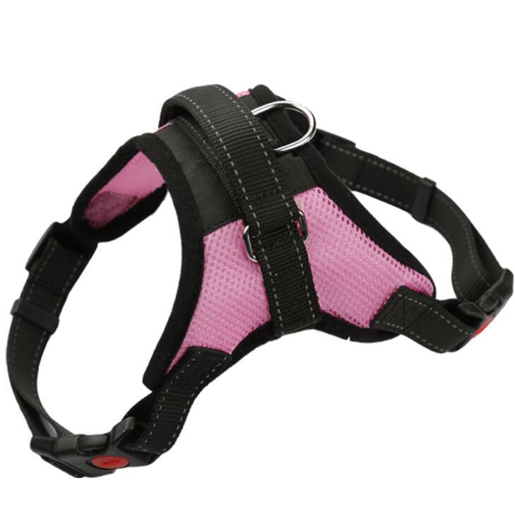 Chest strap - XL 