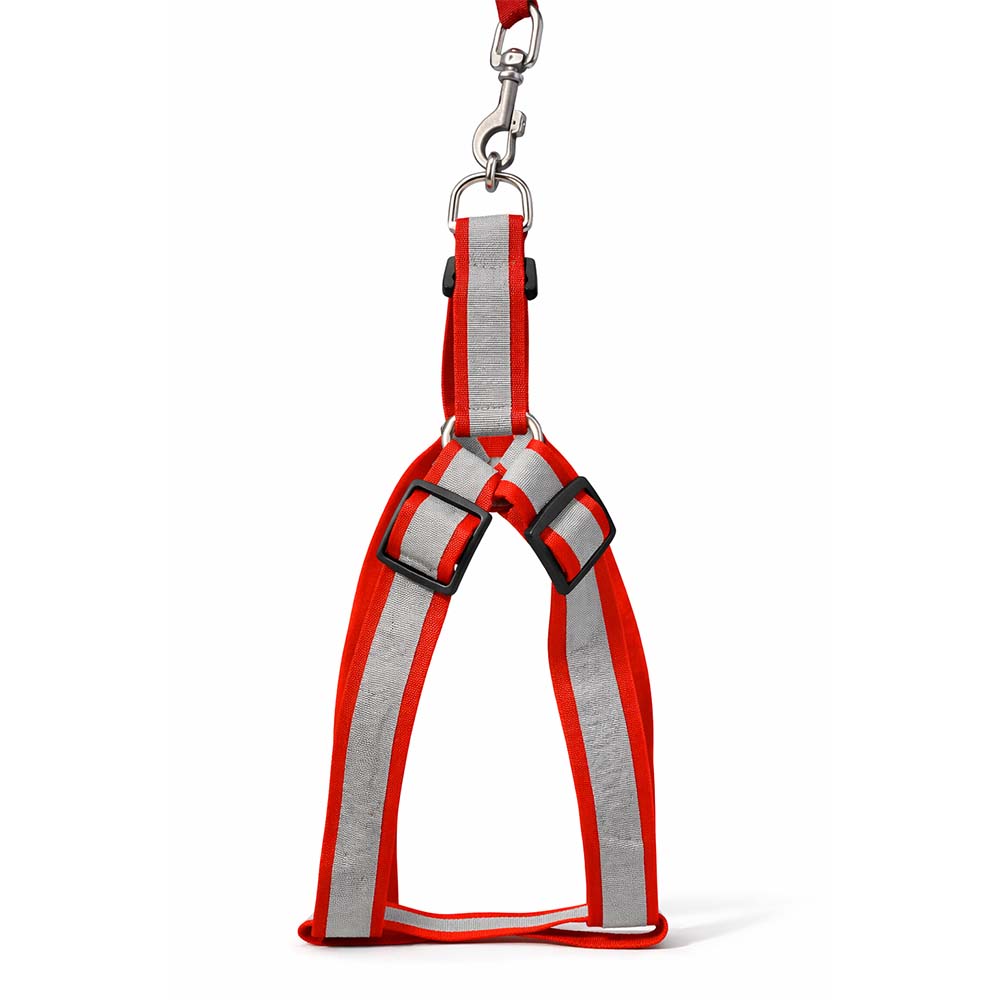 Harness Kit Reflective 2.5cm - L