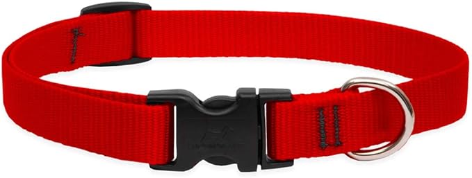 Neck Collar Plain 3/4"